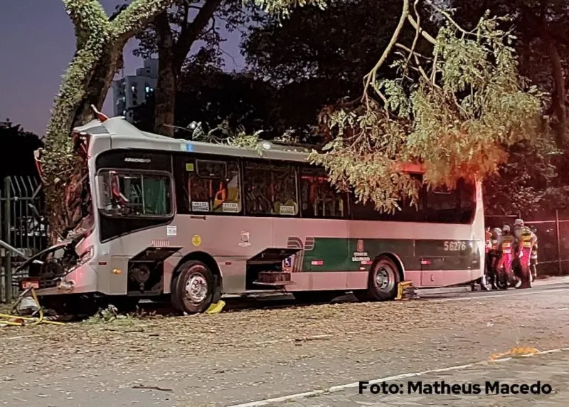 Ônibus colide com árvore no Ipiranga, zona sul de São Paulo